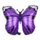 GLOBO MARIPOSA